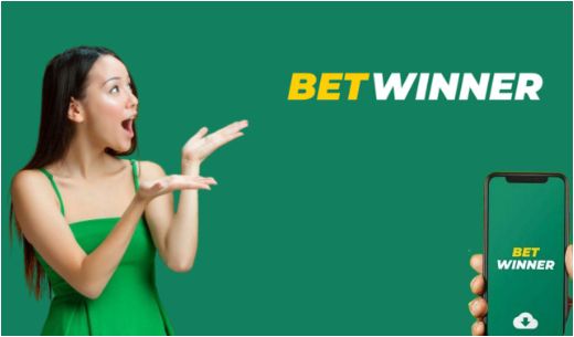betwinner casino Comprehensive Review and Player Guide