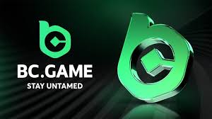 Todo lo que necesitas saber sobre el Soporte de BC Game 0