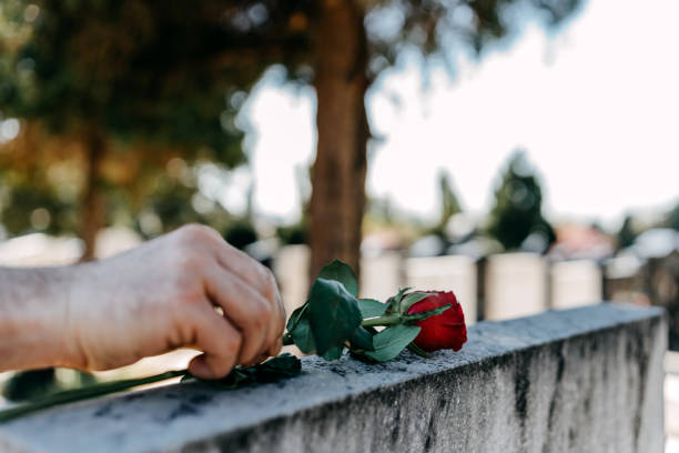 Why is the SofiaDate Search Algorithm Better than Various Other Online Dating Sites?